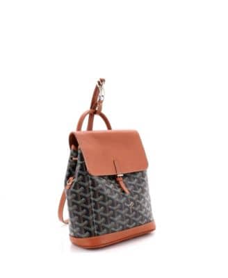 Goyard Alpin Women's bags Mini Brown Goyardine (Coated Canvas) New
