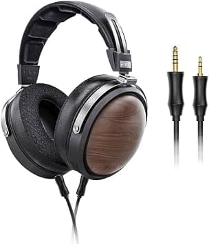 FiiO FT1 Headphones & Earbuds Black New