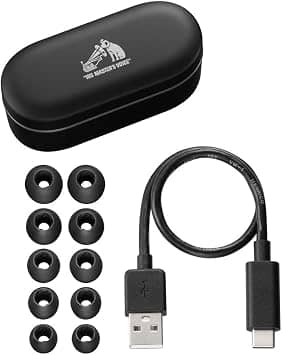 JVC HA-FW1000T Headphones & Earbuds Black New
