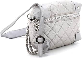 Chanel Camera Bag Women's bags Unspecified Silver Calfskin New