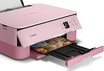 Canon PIXMA TS5320 PINK Printers New