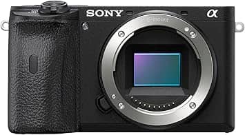 Sony α6600 Digital Cameras