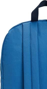 Kipling Curtis Women's bags Blue New