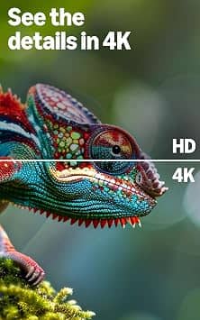 Amazon Ember 4 TVs 40 inch New