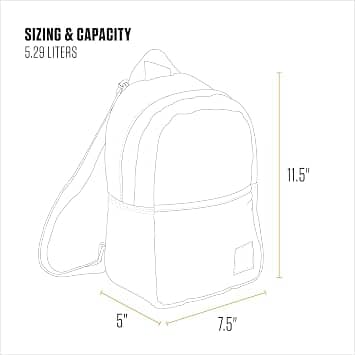 Carhartt Classic Mini Backpack Women's bags Black New
