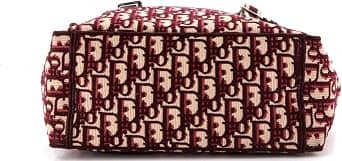 Dior Diorcamp Crossbody Women's bags Medium Red Canvas Silver New