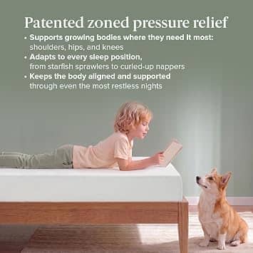Zinus Green Tea Memory Foam Mattress Mattresses New Queen 10"