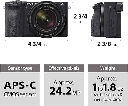 Sony α6600 Digital Cameras