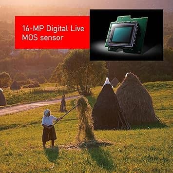 Panasonic LUMIX G85 Digital Cameras