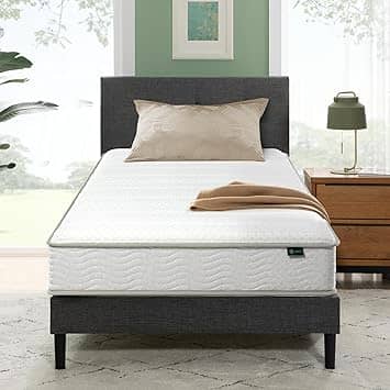 Zinus Foam and Spring Mattress Mattresses New Twin 10"