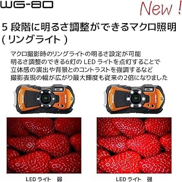 Pentax WG-80 Digital Cameras