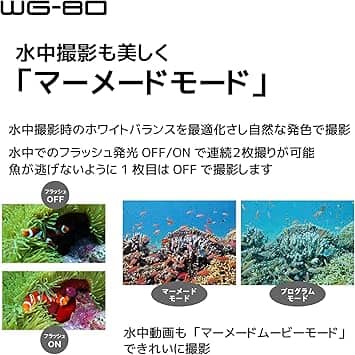 Pentax WG-80 Digital Cameras