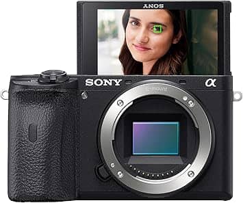 Sony α6600 Digital Cameras