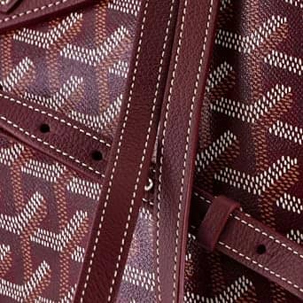 Goyard Alpin Backpack Women's bags Mini Burgundy Coated Canvas New