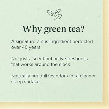 Zinus Green Tea Memory Foam Mattress Mattresses New Queen 10"