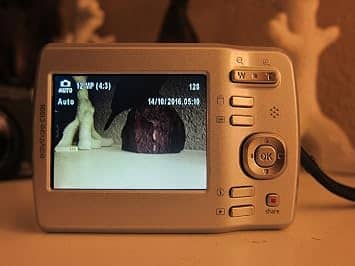 Kodak c1505 Digital Cameras Silver New Body Only