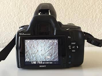 Sony Alpha 380L Digital Cameras Black New w/ 18-55mm Kit