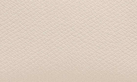 Longchamp Le Roseau Tote Women's bags Unspecified Raffia New