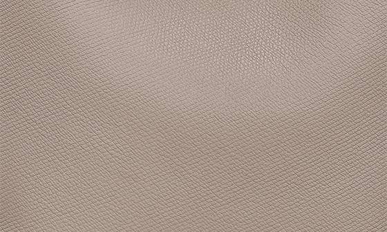 Longchamp Le Roseau Women's bags Beige Unspecified Tote Bag Small New