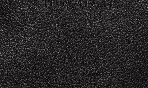 Longchamp Le Foulonné Belt Bag Women's bags Unspecified Caramel New