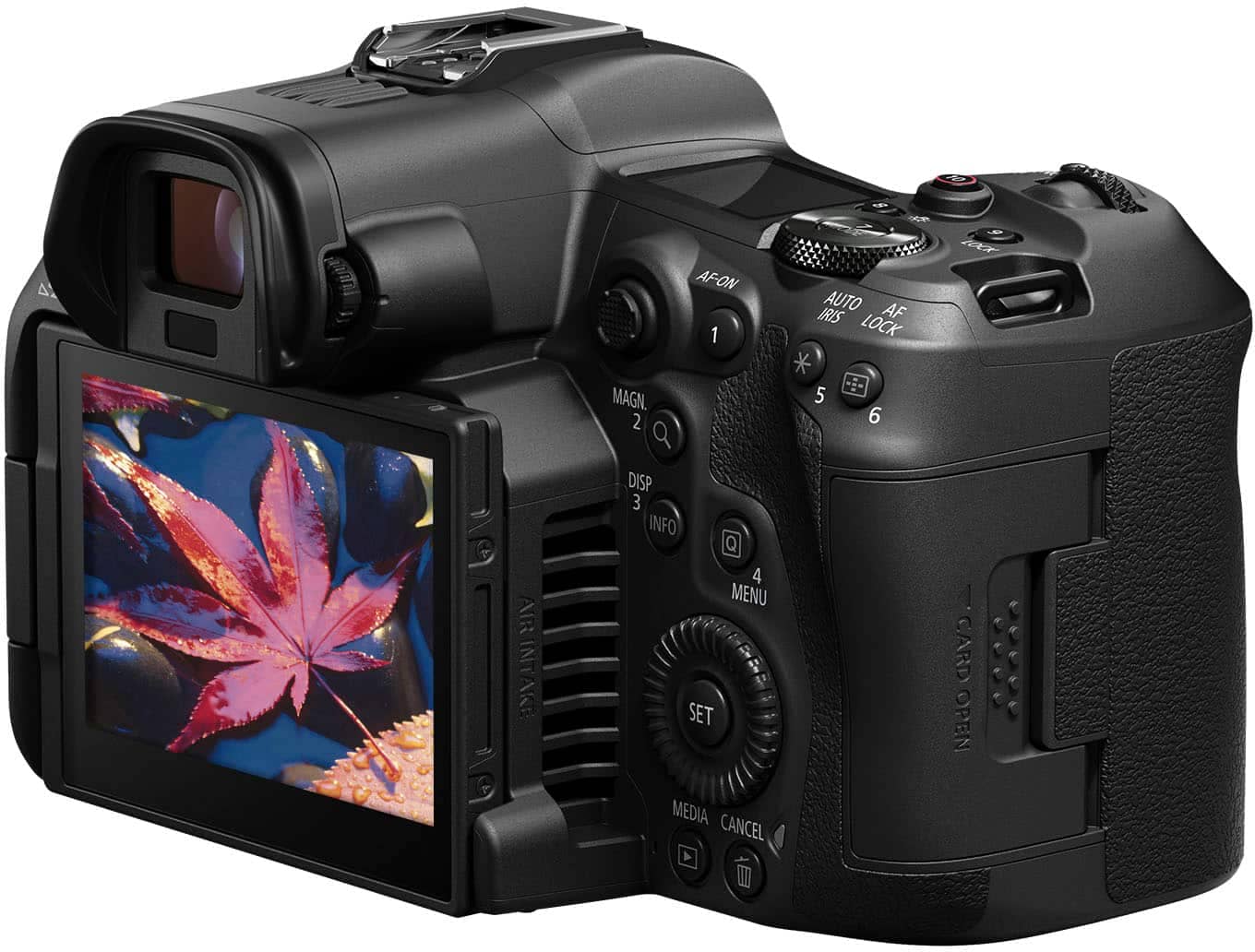 Canon EOS R5 C Digital Cameras Black New Body Only