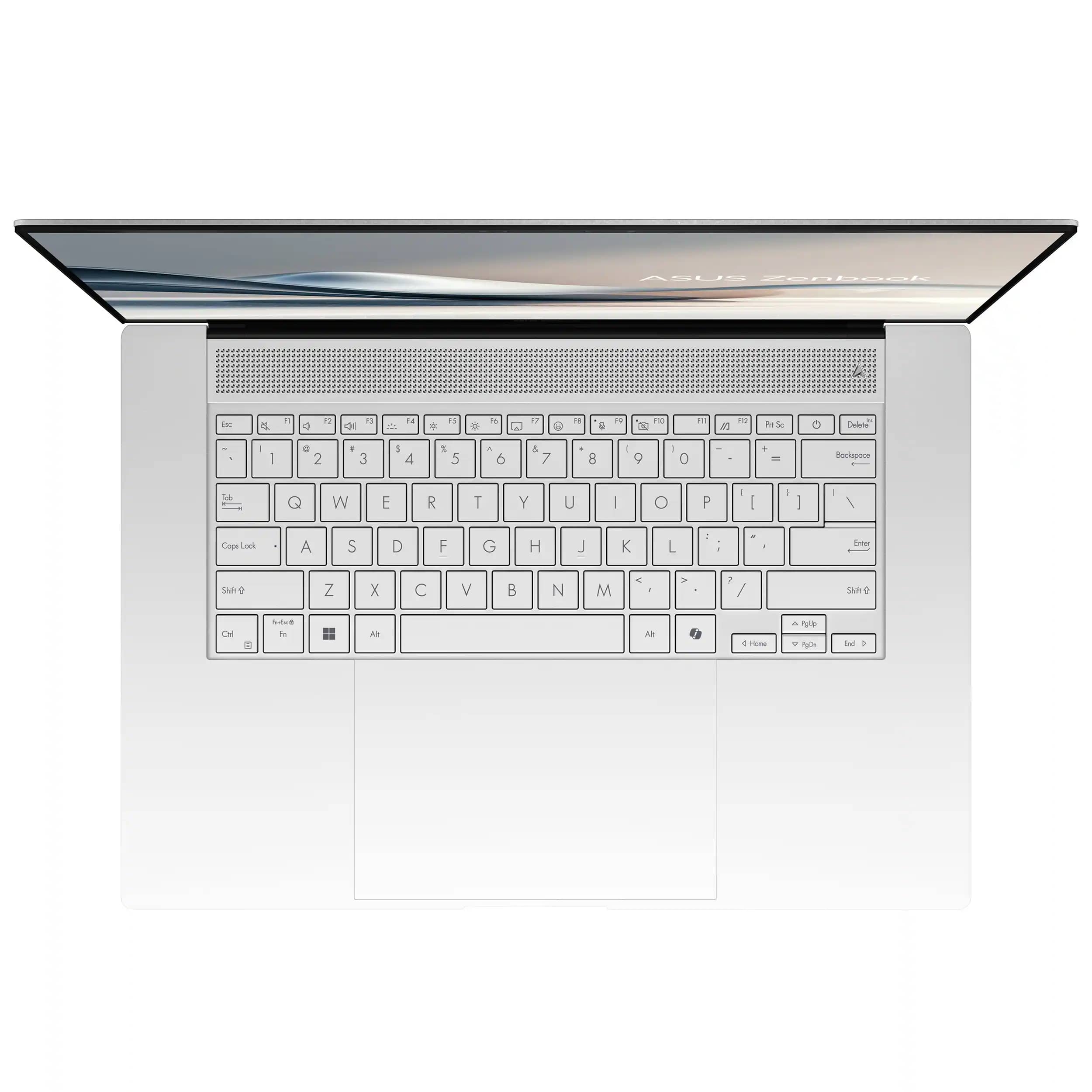 ASUS Zenbook UM5606WA Computers 1000GB 24GB New
