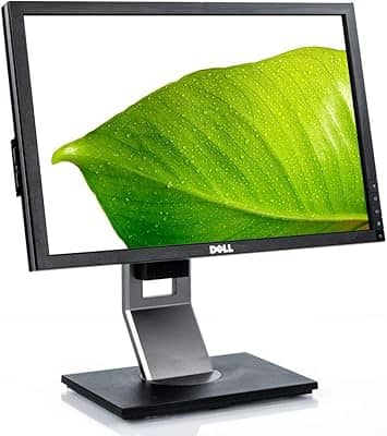 Dell 1909Wf Monitors Black Open-Box Excellent