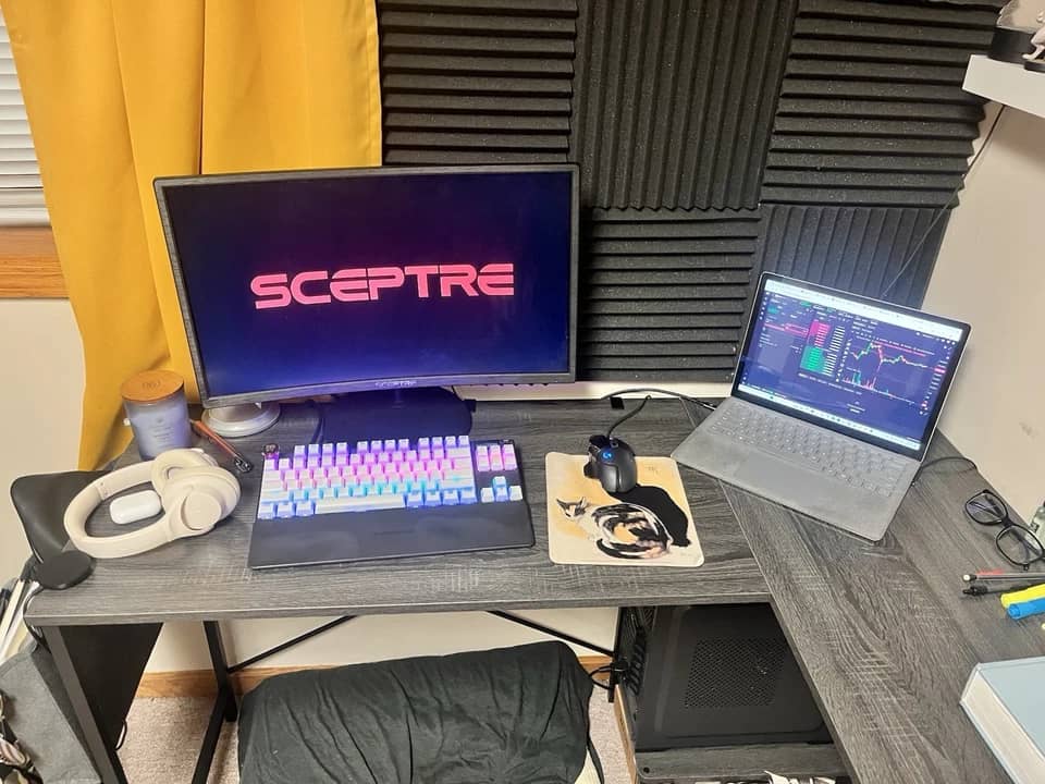 Sceptre C248W Monitors Black New