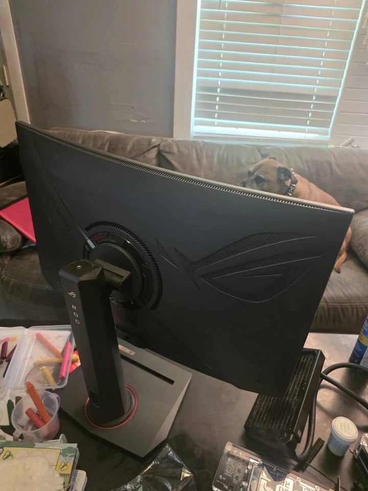 ASUS XG32WCS Monitors New