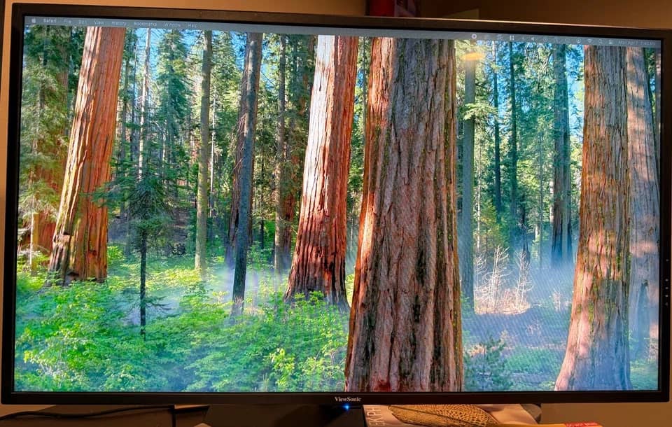 ViewSonic VX4381-4K Monitors Black New