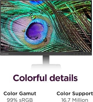Lenovo L24-4e Monitors New