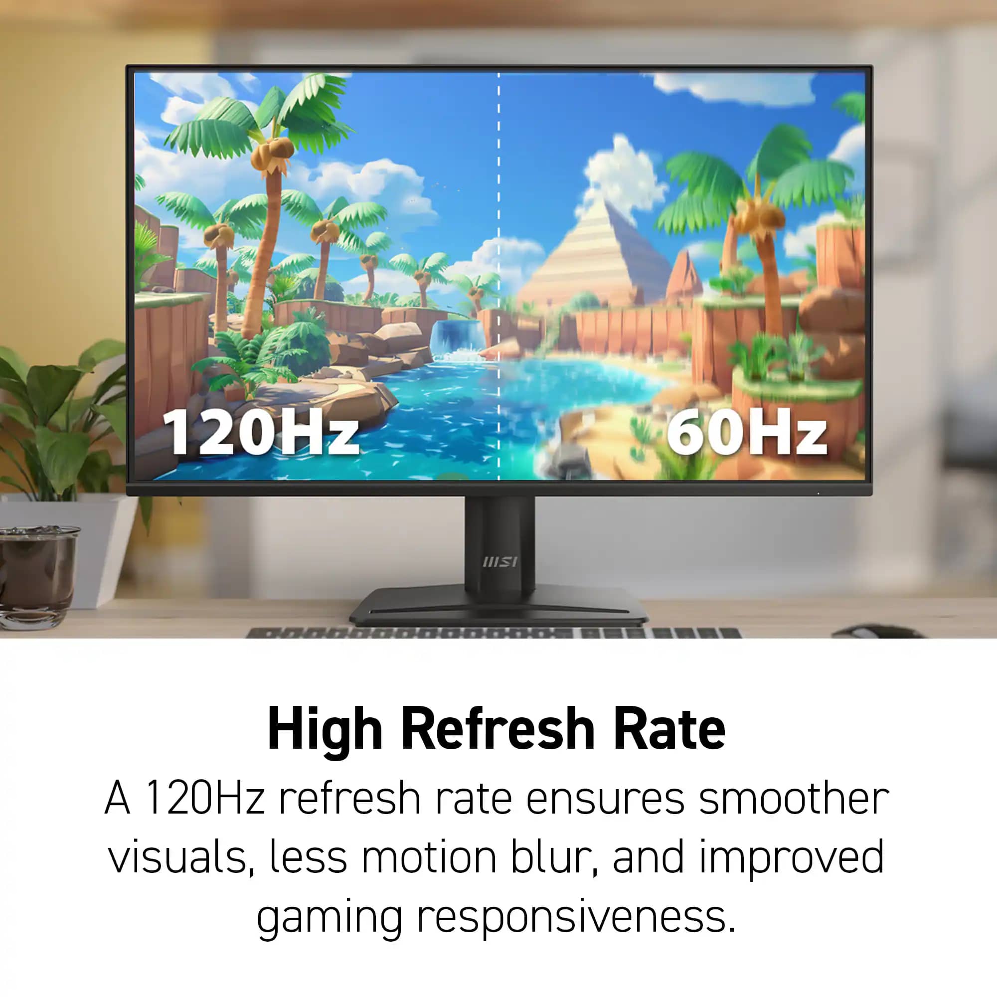 MSI PRO MP251 E2 Monitors New