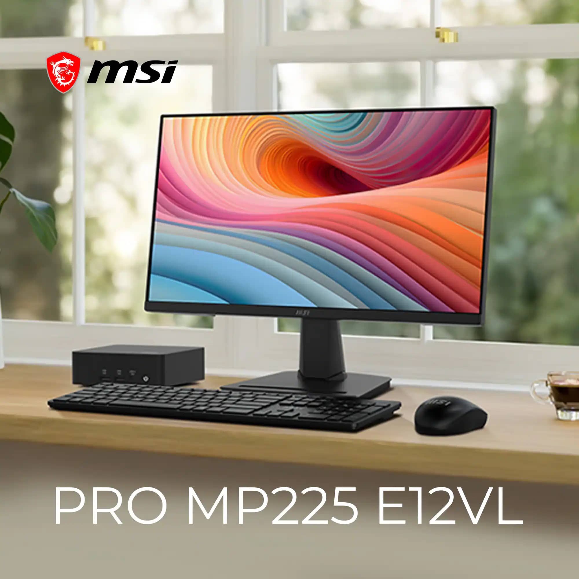 MSI PRO MP225 E12VL Monitors New