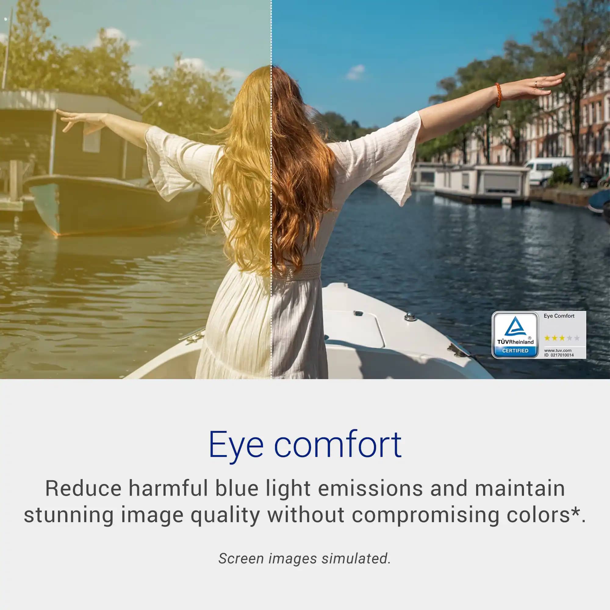 Dell SE2426HS Monitors New