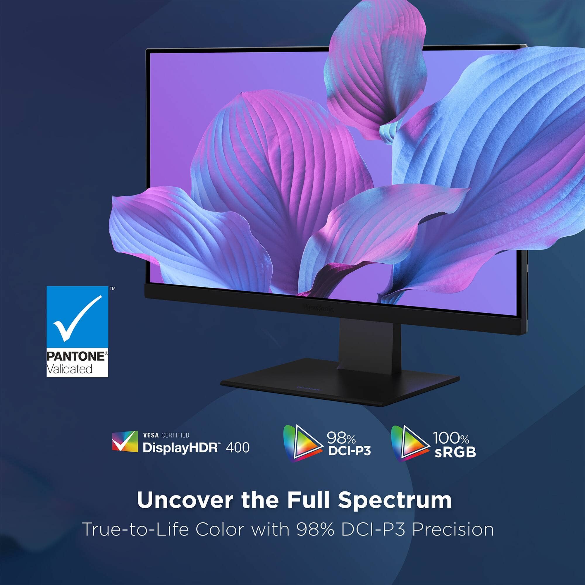 ViewSonic VP2488-4K Monitors New