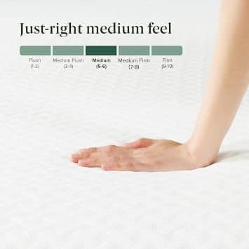 Zinus Cooling Essential Mattresses New Queen 6"