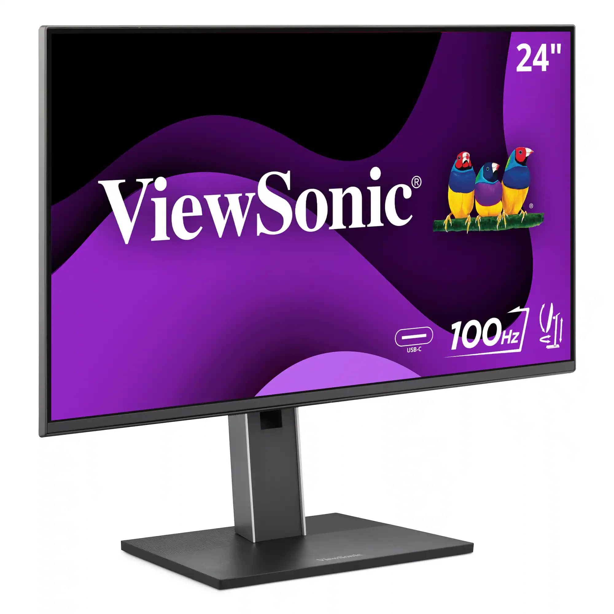 ViewSonic VG2452 Monitors New