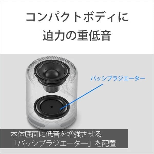 Sony SRS-XB100 Portable Bluetooth Speakers Black New