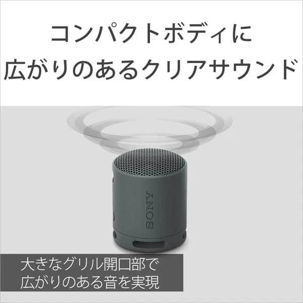 Sony SRS-XB100 Portable Bluetooth Speakers Black New