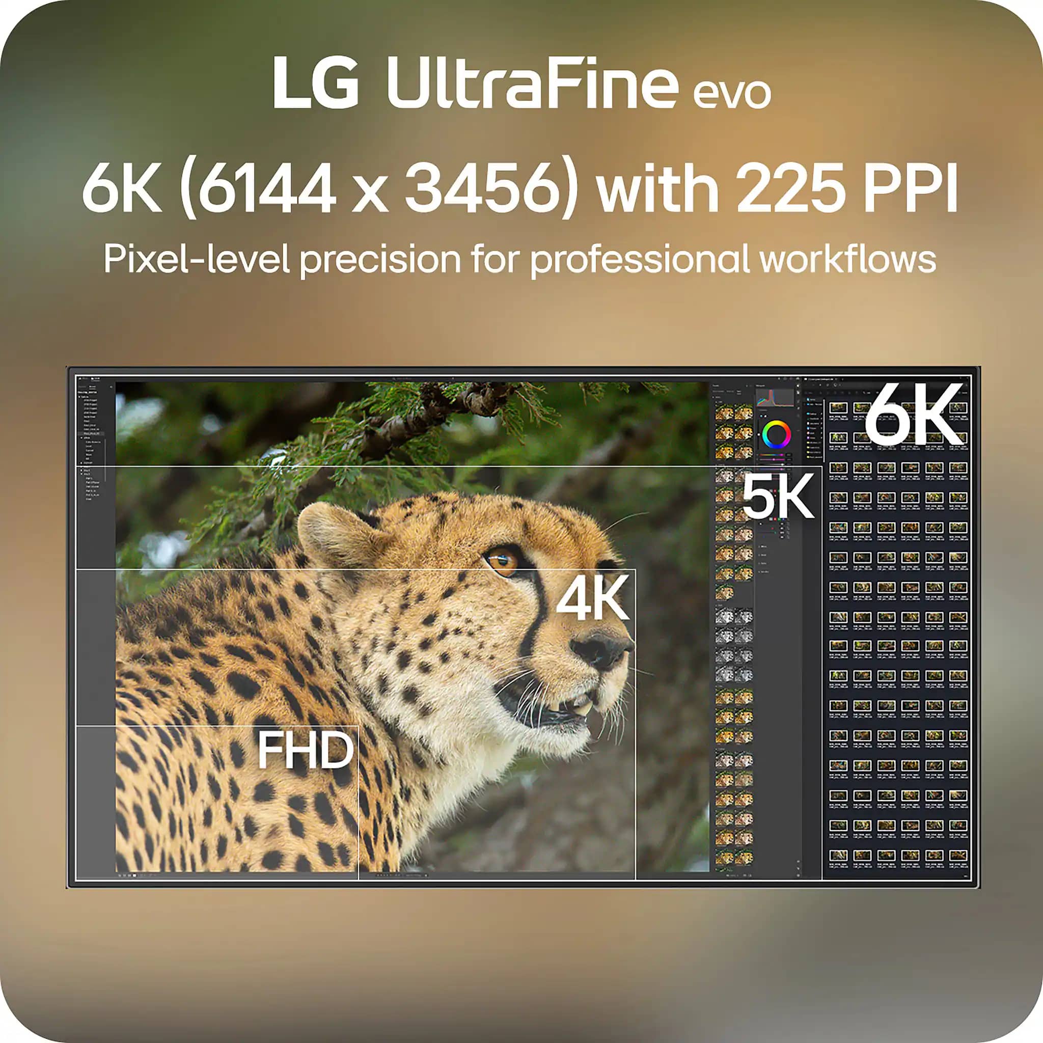 LG 32U990A-S Monitors New