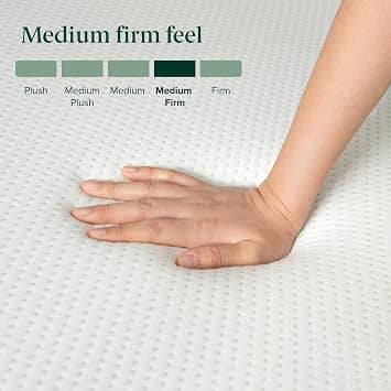 Zinus Green Tea Memory Foam Mattress Mattresses New Twin 5"