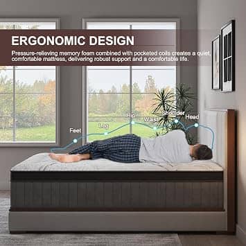 KISSBAYS KS-XY2-FT Mattresses New Twin 12"