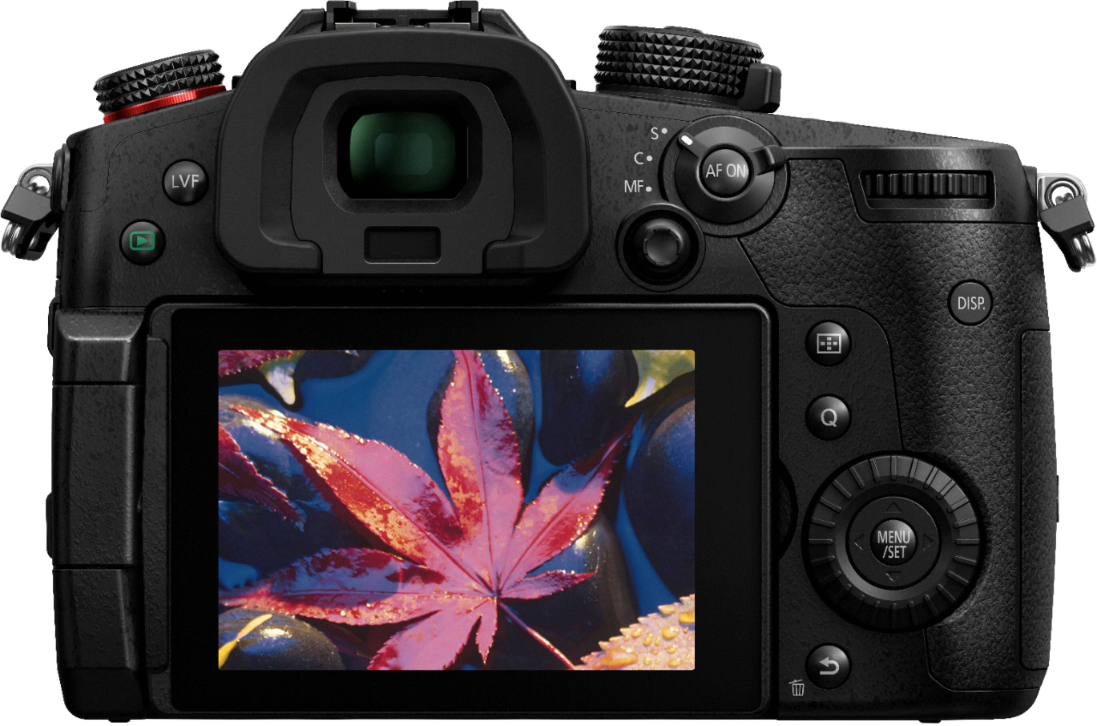 Panasonic LUMIX GH5M2BODY Digital Cameras Black Body Only New