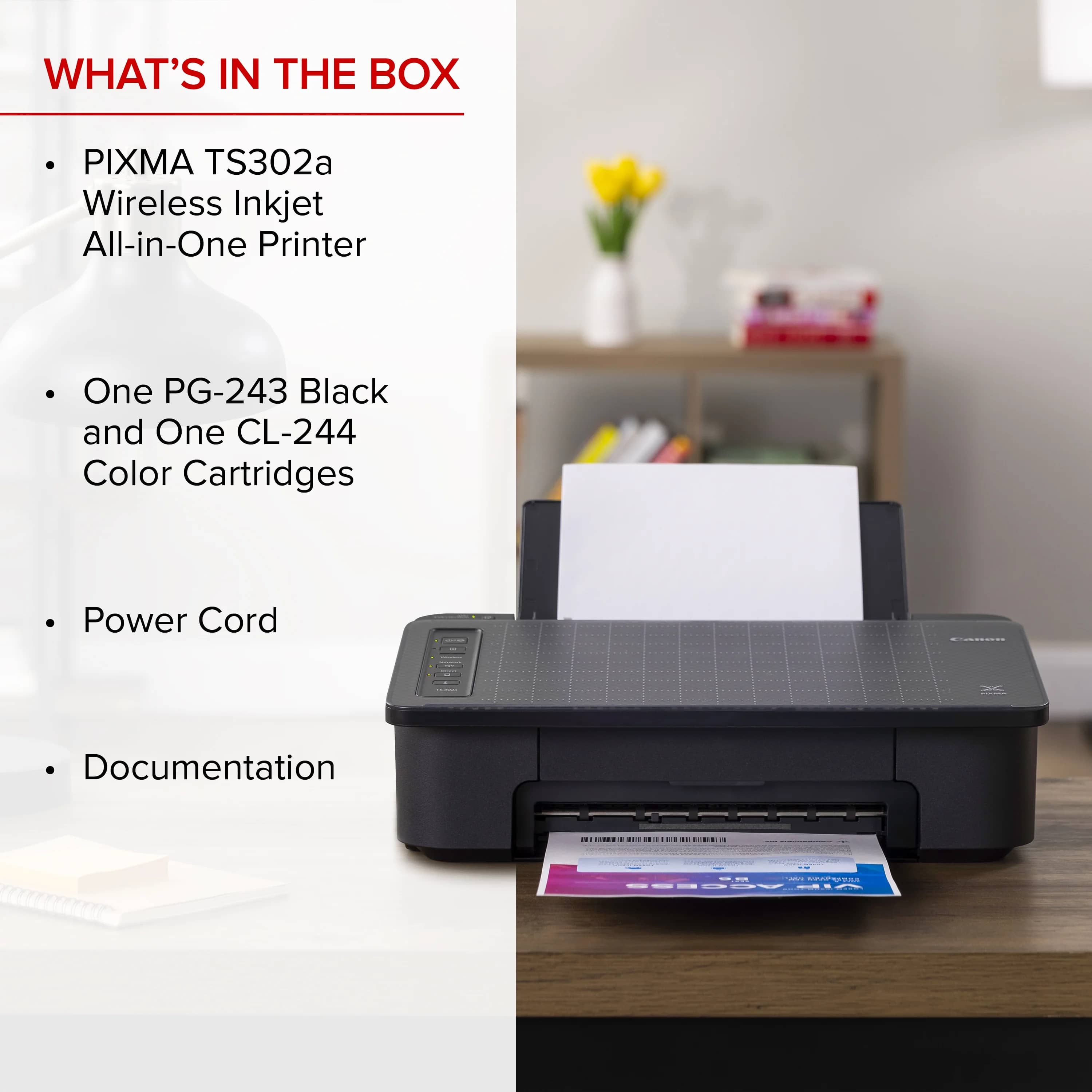 Canon PIXMA TS302a Printers New