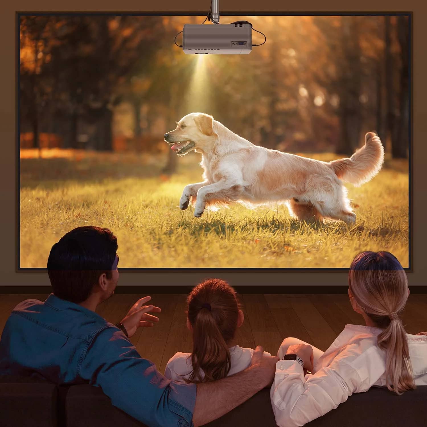 Vankyo Vankyo Leisure 470R Projectors New
