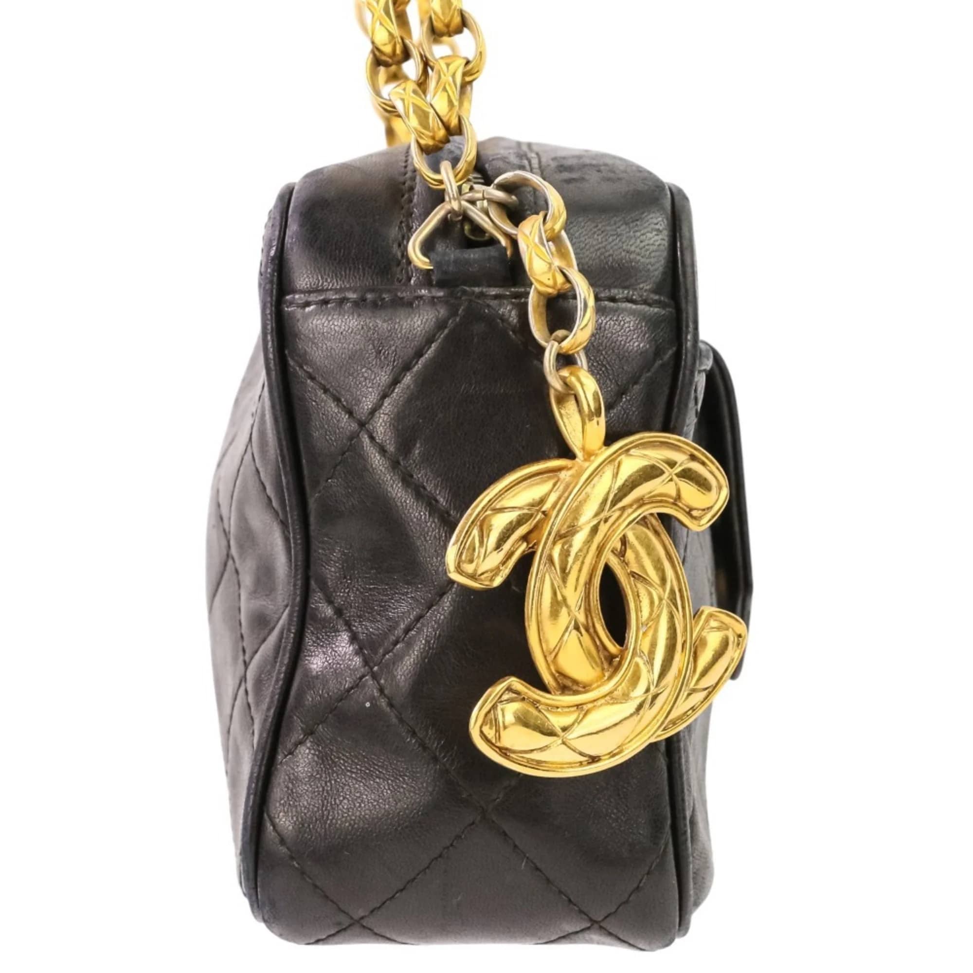 Chanel Camera Bag Women's bags Unspecified Silver Calfskin New