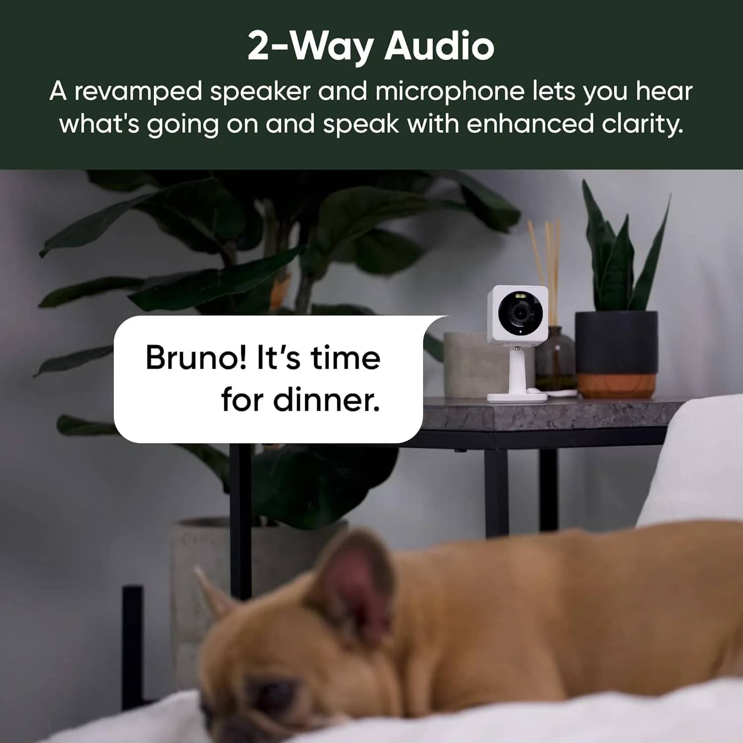 Wyze Wyze Cam OG Home Security Cameras New