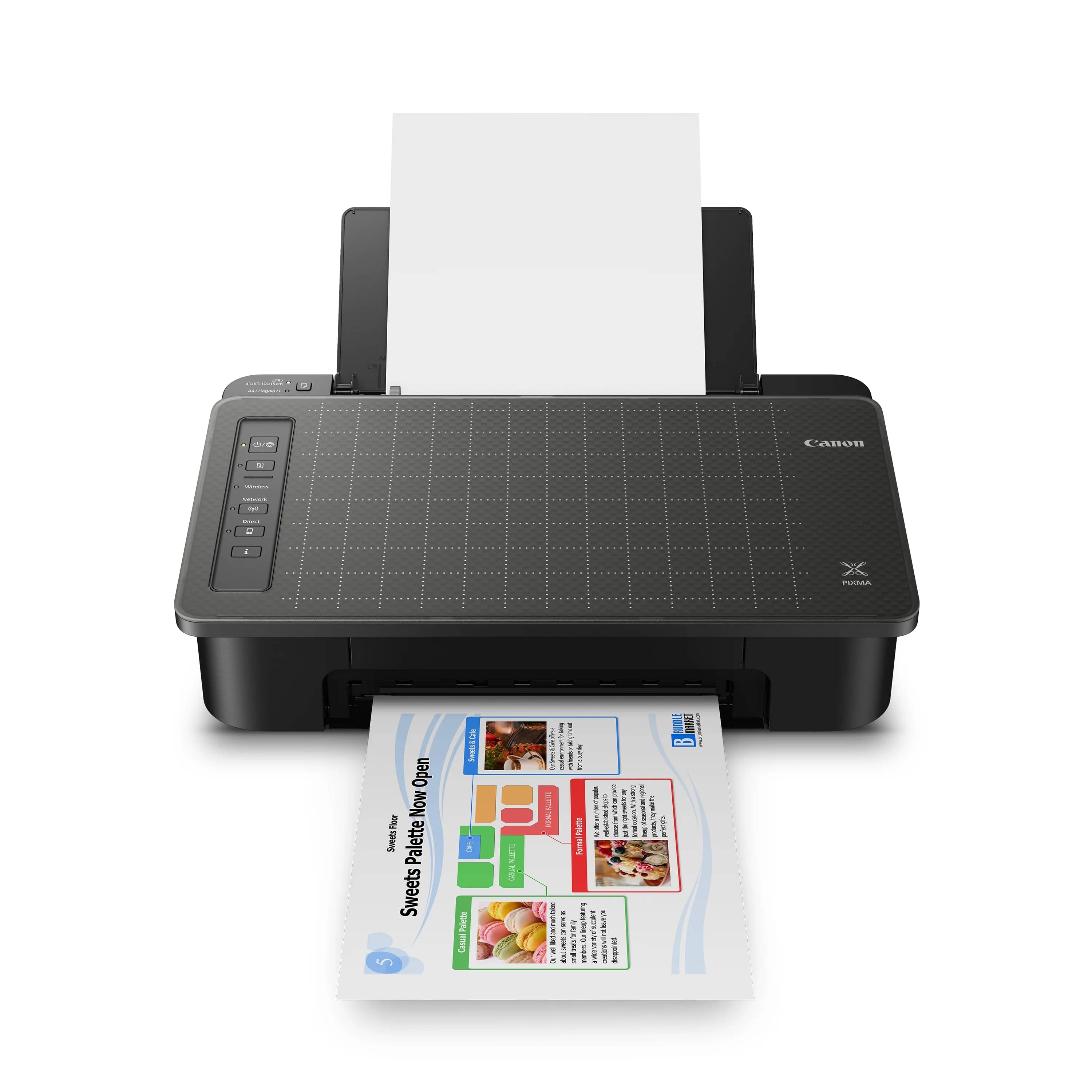 Canon PIXMA TS302a Printers New