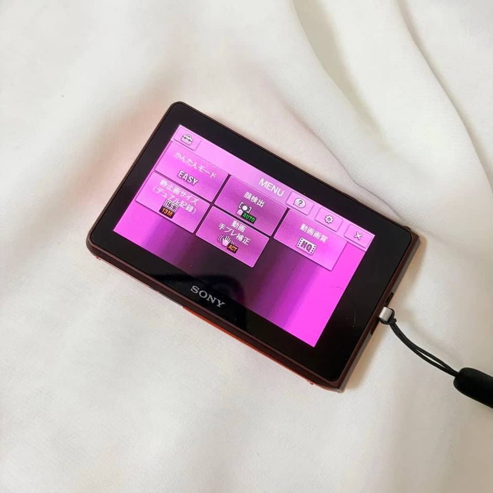 Sony Cyber-shot DSC-TX30 Digital Cameras pink New