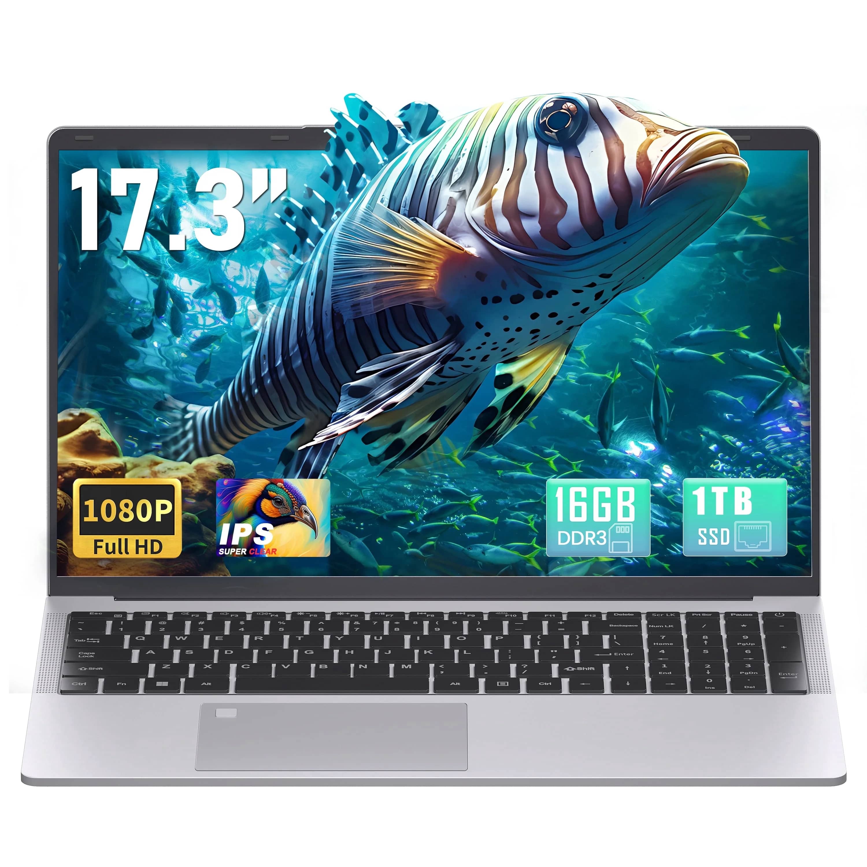 Rumtuk Smartbook HJC160 Computers New